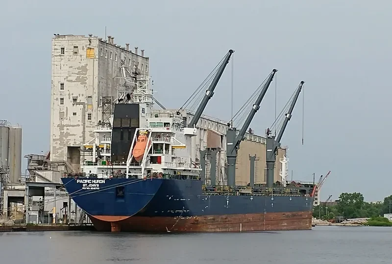 PACIFIC HURON Bulk Carrier IMO 9546796 photo 8