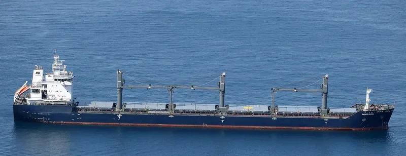PACIFIC HURON Bulk Carrier IMO 9546796 photo 9