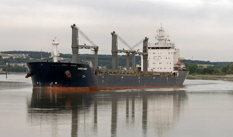 PACIFIC HURON Bulk Carrier IMO 9546796 photo 10
