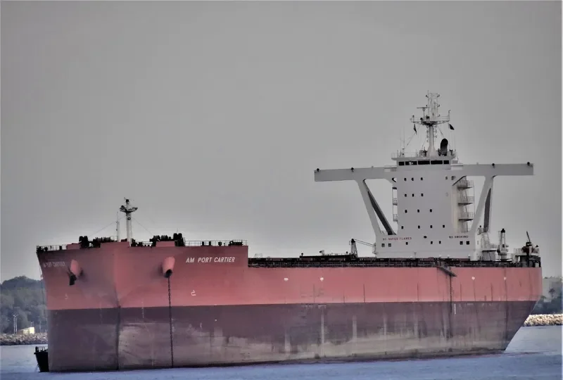 AM PORT CARTIER Bulk Carrier IMO 9546801 photo 5
