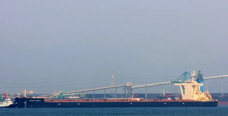 UNITED DIGNITY Bulk Carrier IMO 9546813 photo 3