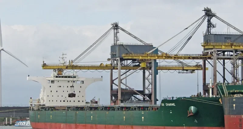 NATTY Bulk Carrier IMO 9546904 photo 7