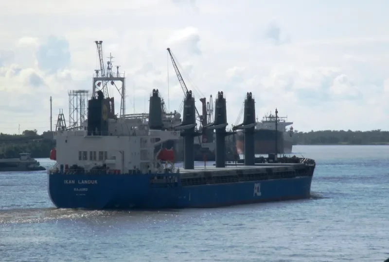 IKAN LANDUK Bulk Carrier IMO 9547166 photo 3