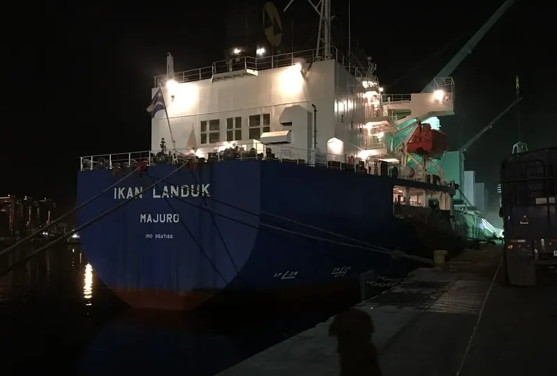 IKAN LANDUK Bulk Carrier IMO 9547166 photo 4