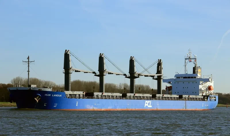 IKAN LANDUK Bulk Carrier IMO 9547166 photo 8