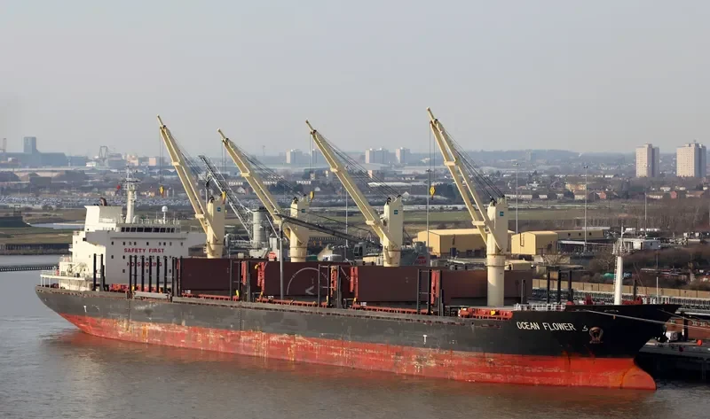 OCEAN FLOWER Bulk Carrier IMO 9547192