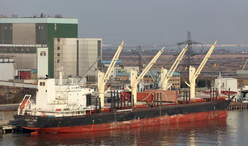 OCEAN FLOWER Bulk Carrier IMO 9547192 photo 2