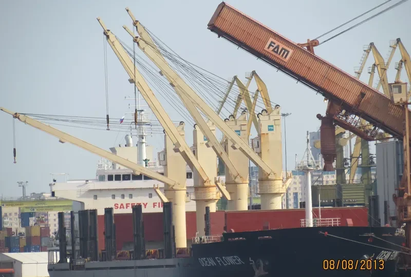 OCEAN FLOWER Bulk Carrier IMO 9547192 photo 3