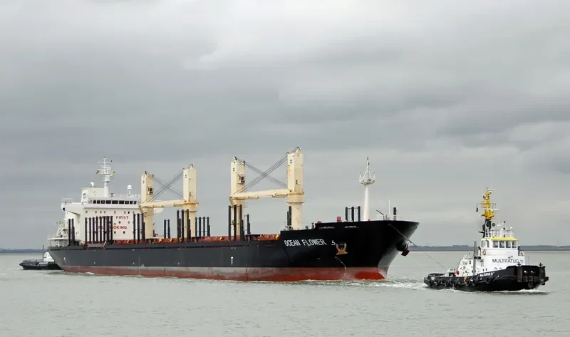 OCEAN FLOWER Bulk Carrier IMO 9547192 photo 4