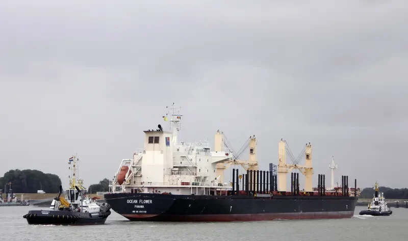 OCEAN FLOWER Bulk Carrier IMO 9547192 photo 5