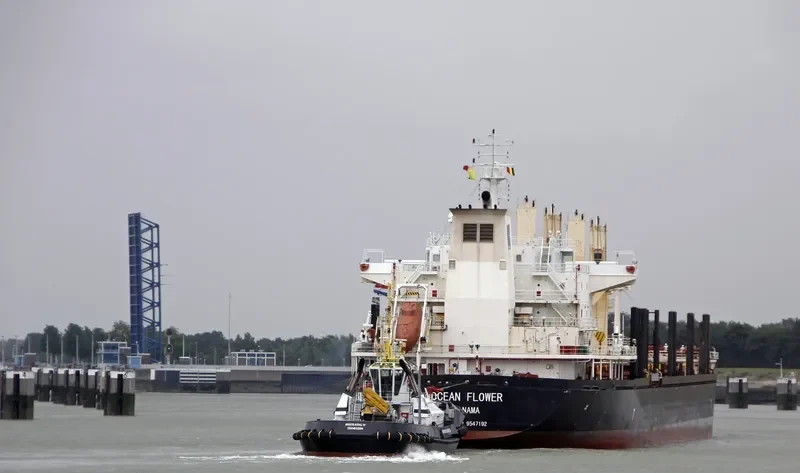 OCEAN FLOWER Bulk Carrier IMO 9547192 photo 6