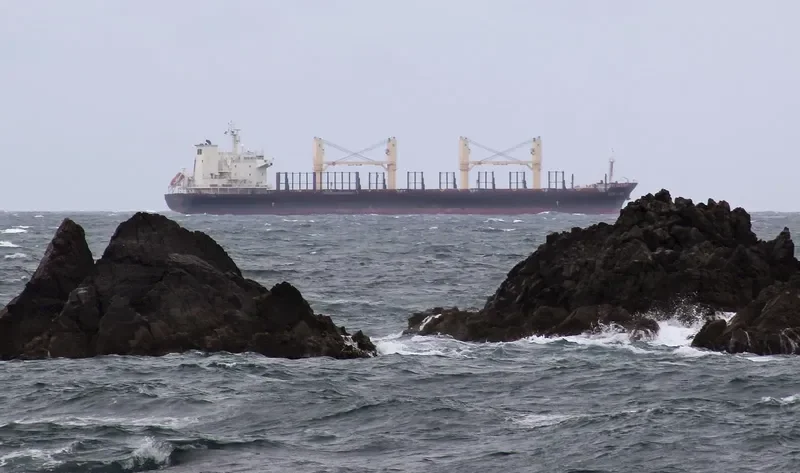 OCEAN FLOWER Bulk Carrier IMO 9547192 photo 7