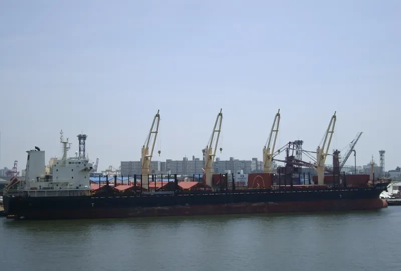 OCEAN FLOWER Bulk Carrier IMO 9547192 photo 9