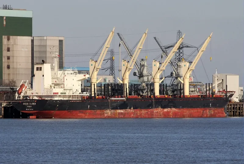 OCEAN FLOWER Bulk Carrier IMO 9547192 photo 10