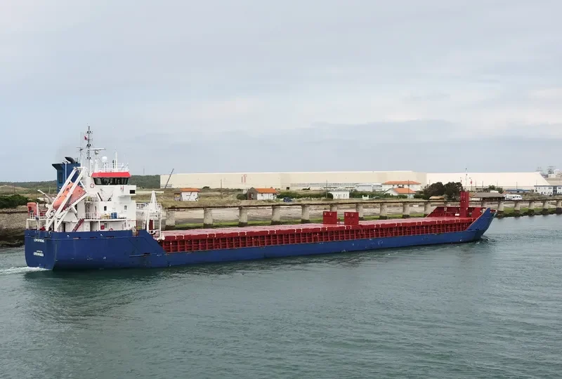 LONGVIKING General Cargo IMO 9547324 photo 7