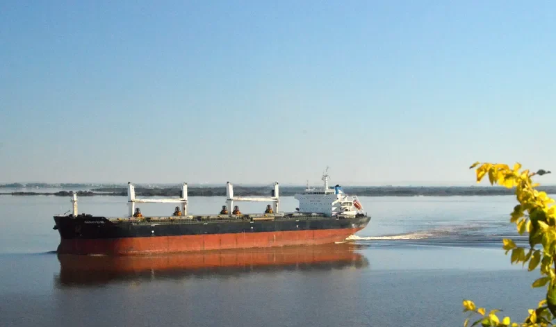 NASCO PEARL Bulk Carrier IMO 9547805