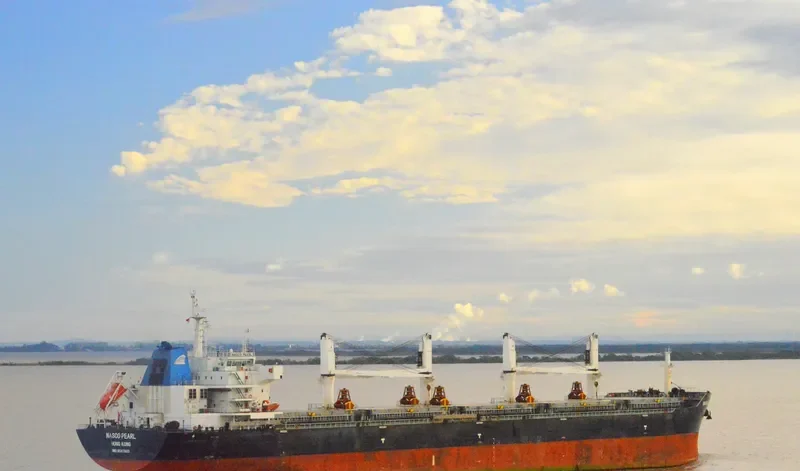 NASCO PEARL Bulk Carrier IMO 9547805 photo 2
