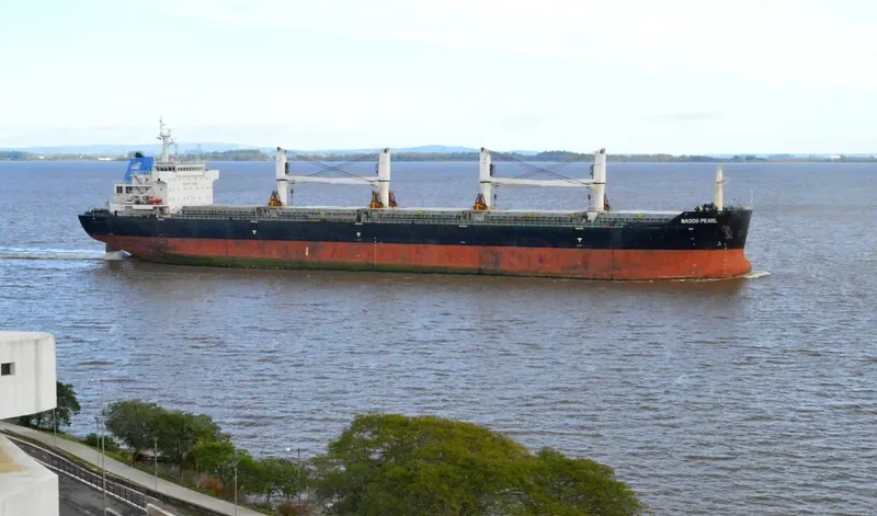 NASCO PEARL Bulk Carrier IMO 9547805 photo 3