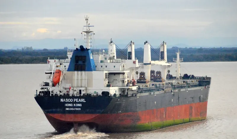 NASCO PEARL Bulk Carrier IMO 9547805 photo 5