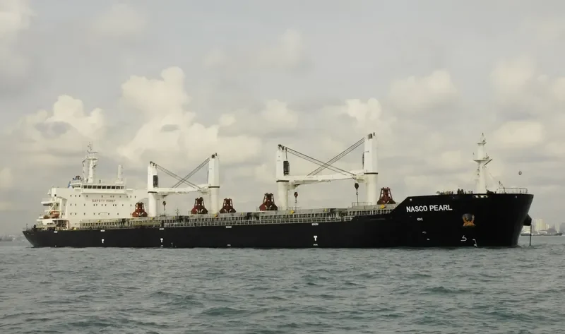 NASCO PEARL Bulk Carrier IMO 9547805 photo 6