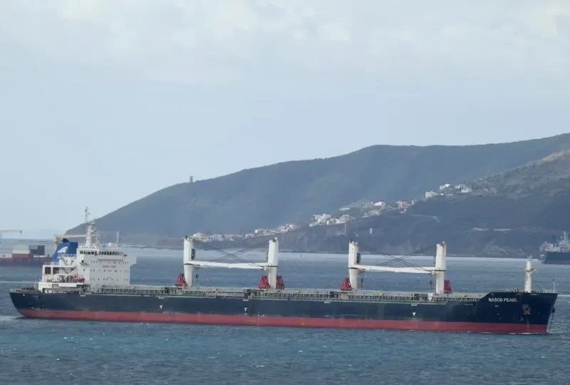 NASCO PEARL Bulk Carrier IMO 9547805 photo 7