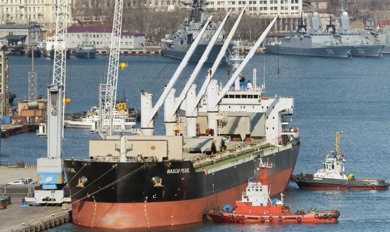 NASCO PEARL Bulk Carrier IMO 9547805 photo 9