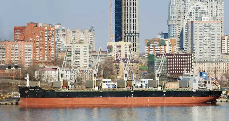 NASCO PEARL Bulk Carrier IMO 9547805 photo 10