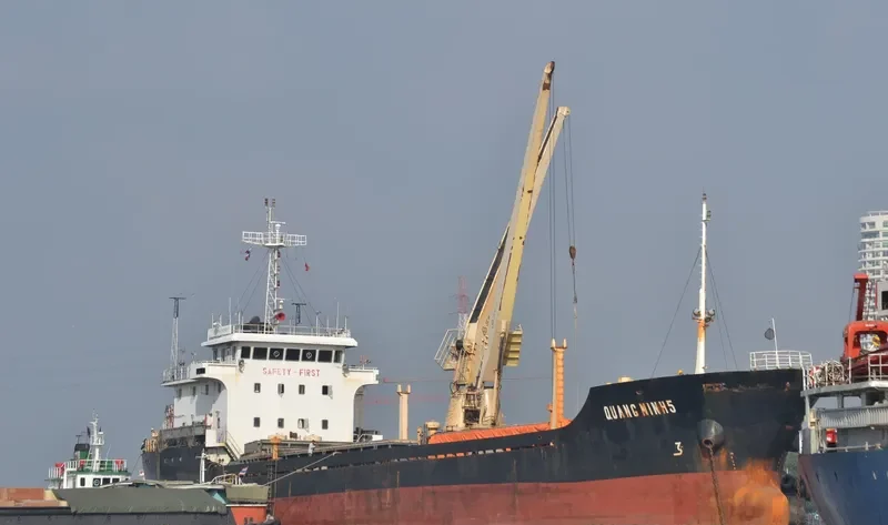 QUANG MINH 5 Bulk Carrier IMO 9547893