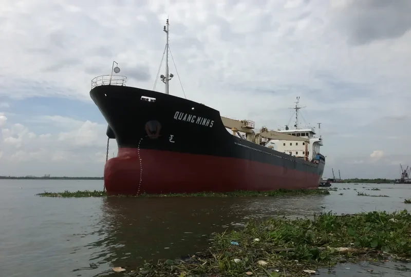 QUANG MINH 5 Bulk Carrier IMO 9547893 photo 4