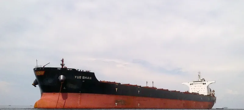 YUE SHAN Bulk Carrier IMO 9547910 photo 8
