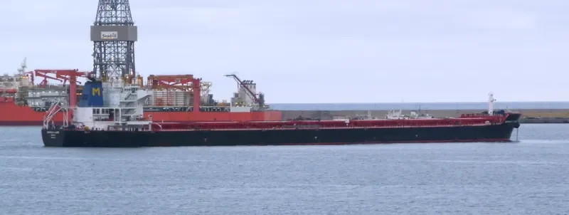 CHARIKLIA JUNIOR Bulk Carrier IMO 9548201 photo 3
