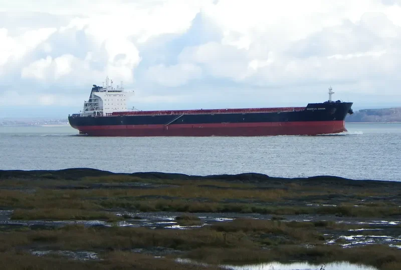 CHARIKLIA JUNIOR Bulk Carrier IMO 9548201 photo 5