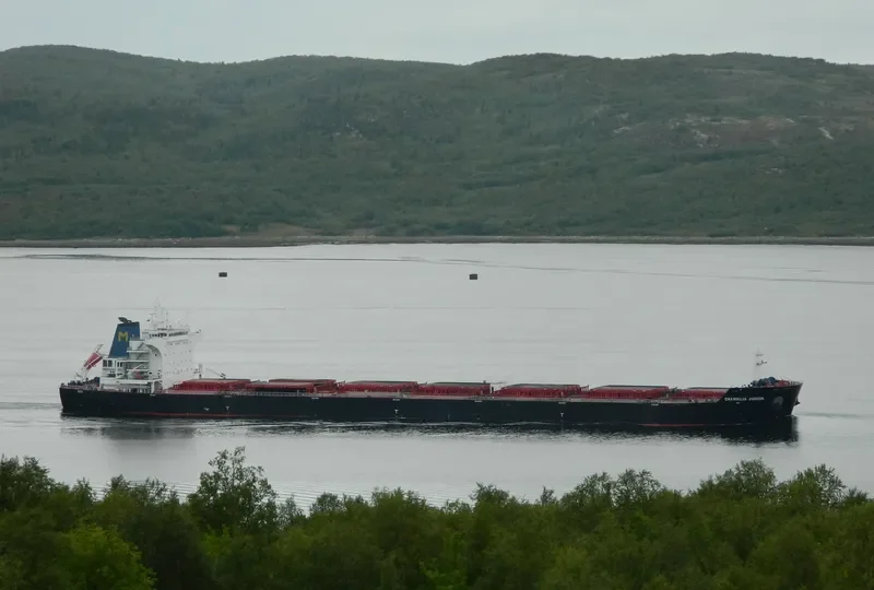 CHARIKLIA JUNIOR Bulk Carrier IMO 9548201 photo 8