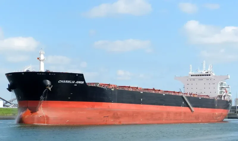 CHARIKLIA JUNIOR Bulk Carrier IMO 9548201 photo 10