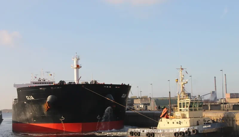 CLIA Bulk Carrier IMO 9548237 photo 4