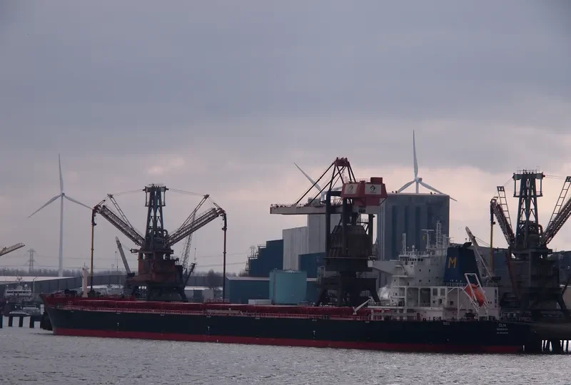 CLIA Bulk Carrier IMO 9548237 photo 7