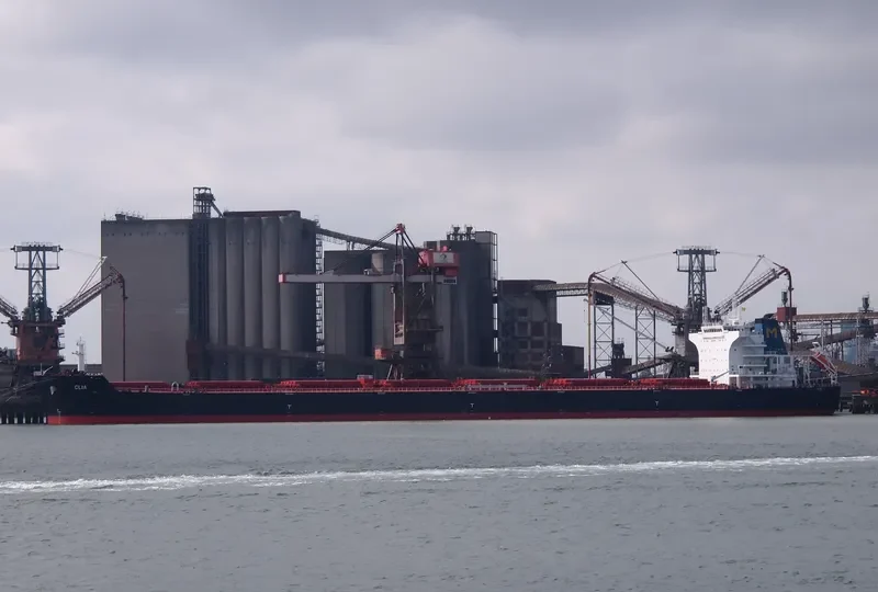 CLIA Bulk Carrier IMO 9548237 photo 8