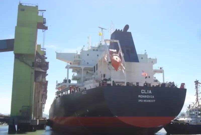 CLIA Bulk Carrier IMO 9548237 photo 10