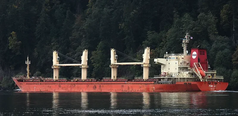 PAN IVY Bulk Carrier IMO 9548316
