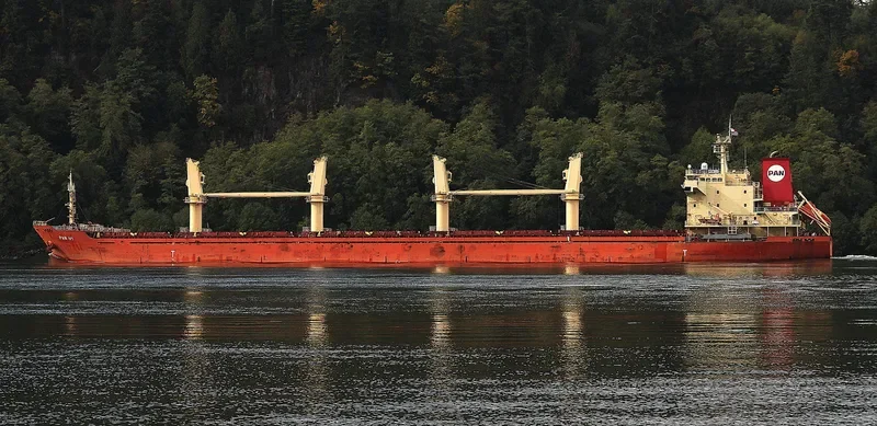 PAN IVY Bulk Carrier IMO 9548316 photo 2