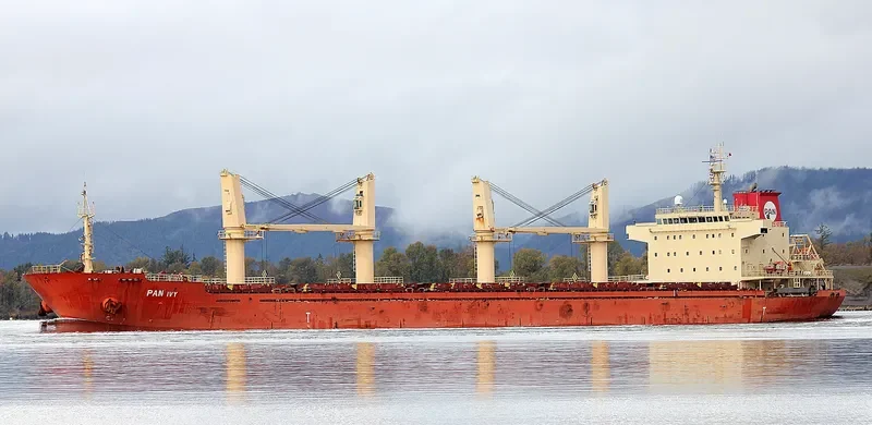 PAN IVY Bulk Carrier IMO 9548316 photo 3