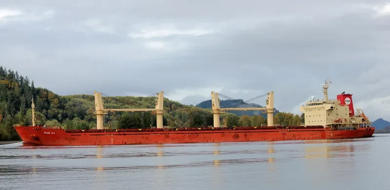 PAN IVY Bulk Carrier IMO 9548316 photo 4