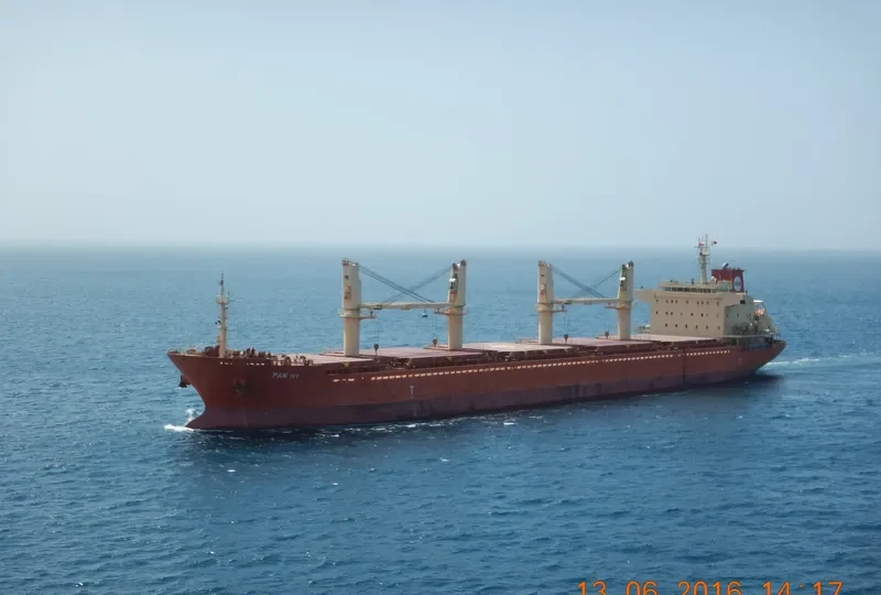 PAN IVY Bulk Carrier IMO 9548316 photo 5