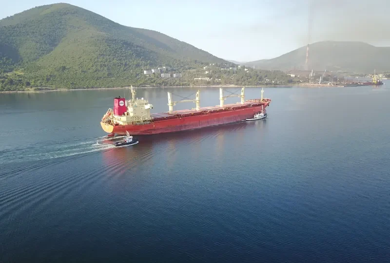 PAN IVY Bulk Carrier IMO 9548316 photo 7