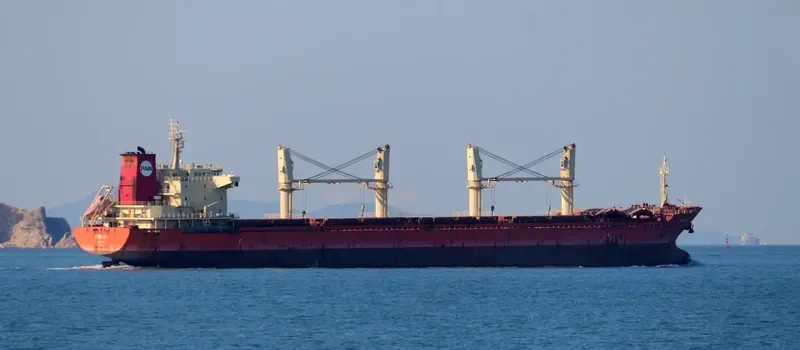 PAN IVY Bulk Carrier IMO 9548316 photo 8