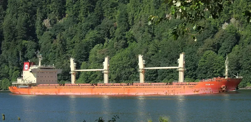 PAN IVY Bulk Carrier IMO 9548316 photo 9