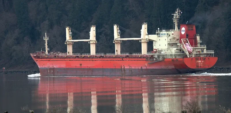 PAN IVY Bulk Carrier IMO 9548316 photo 10