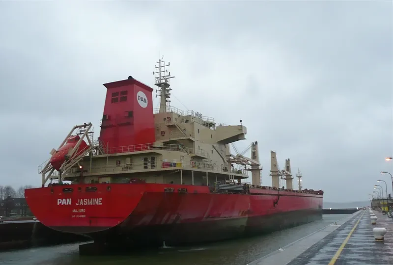 PAN JASMINE Bulk Carrier IMO 9548328 photo 3
