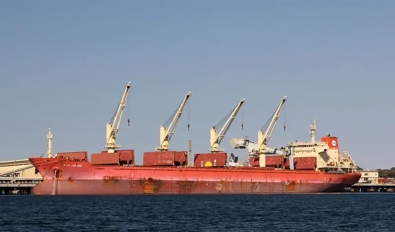 PAN JASMINE Bulk Carrier IMO 9548328 photo 4