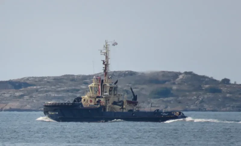 SVITZER TYR General Cargo IMO 9548342 photo 8